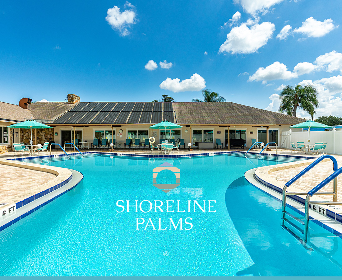 Shoreline Palms